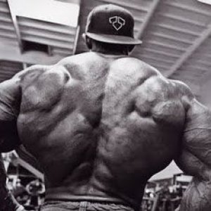 2011 Bodybuilding images