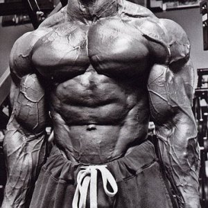 2011 Bodybuilding images