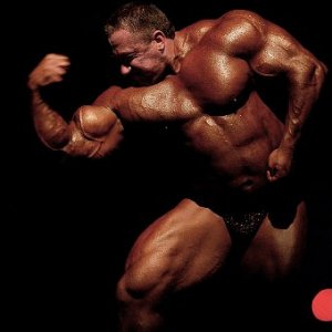 2011 Bodybuilding images