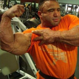 2011 Bodybuilding images