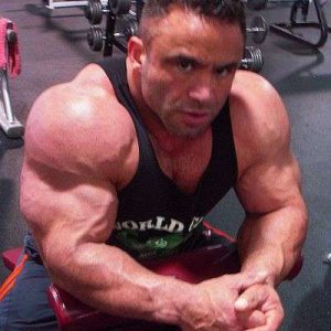 2011 Bodybuilding images