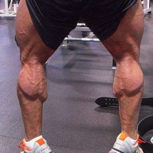 2011 Bodybuilding images