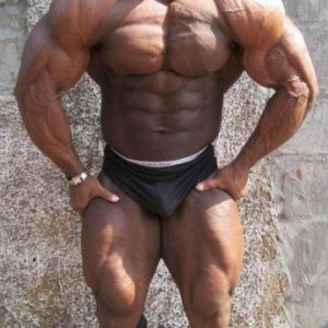 2011 Bodybuilding images