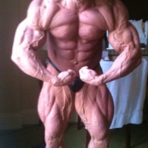 2011 Bodybuilding images