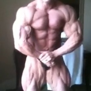 2011 Bodybuilding images