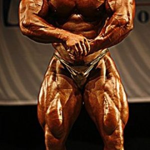 2011 Bodybuilding images