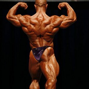 2011 Bodybuilding images