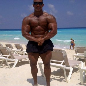 2011 Bodybuilding images