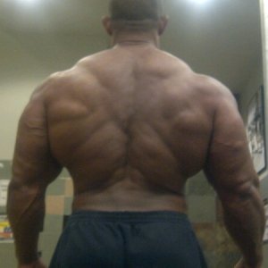 2011 Bodybuilding images