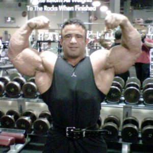 2011 Bodybuilding images