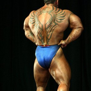 2011 Bodybuilding images