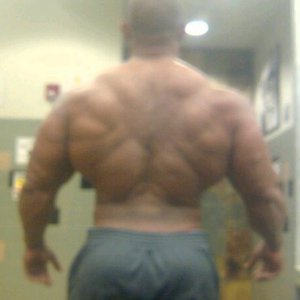 2011 Bodybuilding images