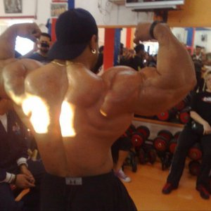 2011 Bodybuilding images