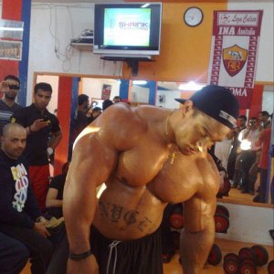 2011 Bodybuilding images