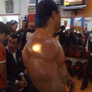 2011 Bodybuilding images