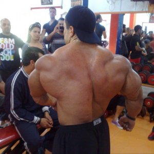 2011 Bodybuilding images