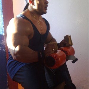 2011 Bodybuilding images