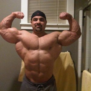 2011 Bodybuilding images