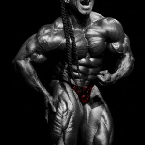 2011 Bodybuilding images