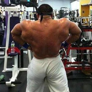 2011 Bodybuilding images