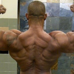 2011 Bodybuilding images