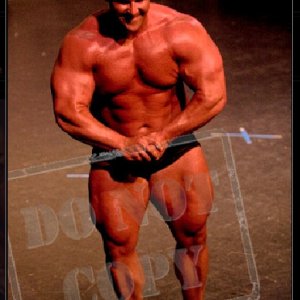 2011 Bodybuilding images