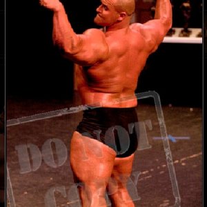 2011 Bodybuilding images