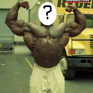 2011 Bodybuilding images