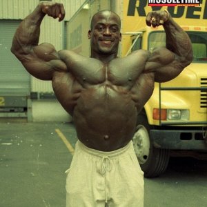 2011 Bodybuilding images