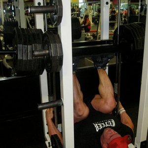 2011 Bodybuilding images