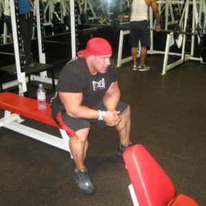 2011 Bodybuilding images