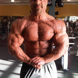 2011 Bodybuilding images