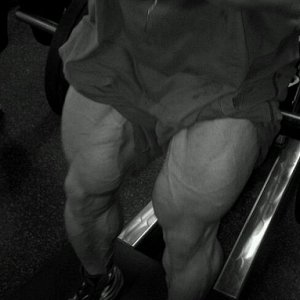 2011 Bodybuilding images