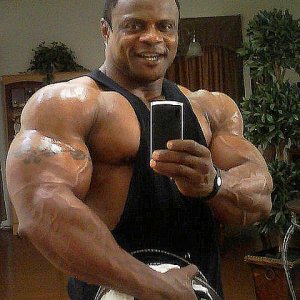 2011 Bodybuilding images