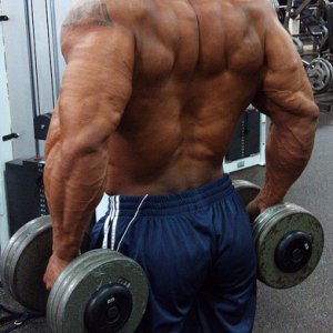 2011 Bodybuilding images