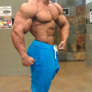 2011 Bodybuilding images