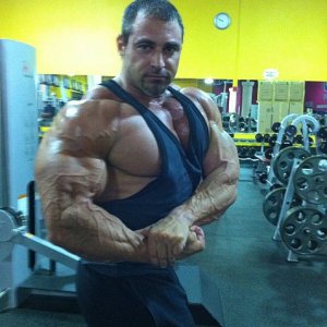 2011 Bodybuilding images