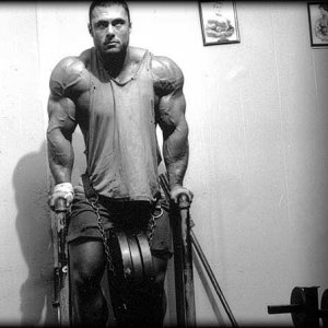 2011 Bodybuilding images