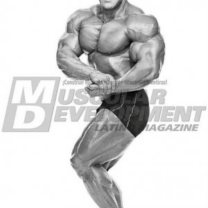 2011 Bodybuilding images