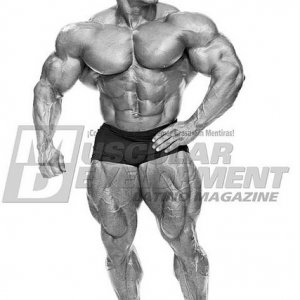 2011 Bodybuilding images