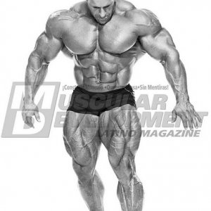 2011 Bodybuilding images