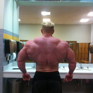 2011 Bodybuilding images