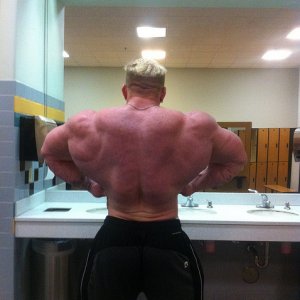 2011 Bodybuilding images