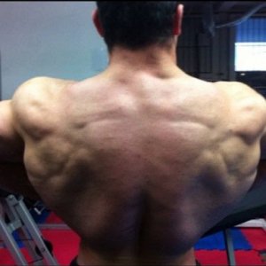 2011 Bodybuilding images