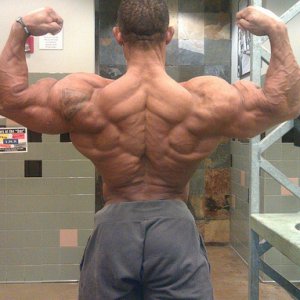 2011 Bodybuilding images