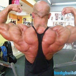 2011 Bodybuilding images