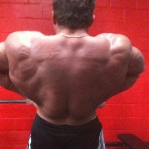 2011 Bodybuilding images