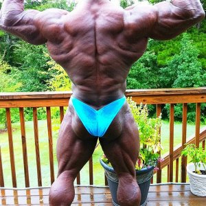 2011 Bodybuilding images