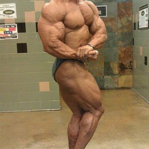 2011 Bodybuilding images