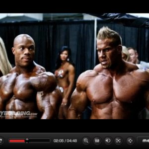 2011 Bodybuilding images